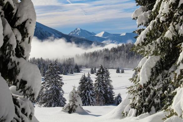 Le Flocon-Studio Cabine-Balcon 4-6 Pers A 100M Des Pistes Chamrousse Buitenkant foto