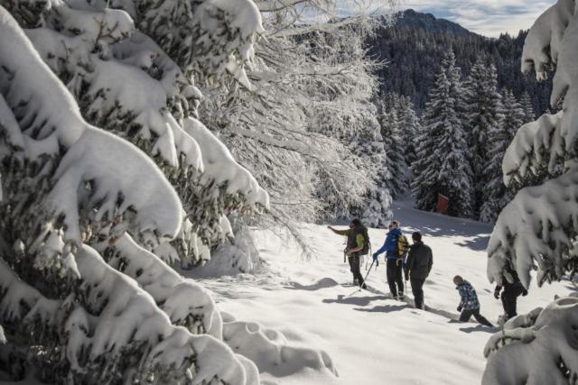 Le Flocon-Studio Cabine-Balcon 4-6 Pers A 100M Des Pistes Chamrousse Buitenkant foto