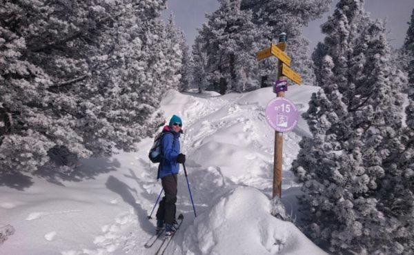 Le Flocon-Studio Cabine-Balcon 4-6 Pers A 100M Des Pistes Chamrousse Buitenkant foto